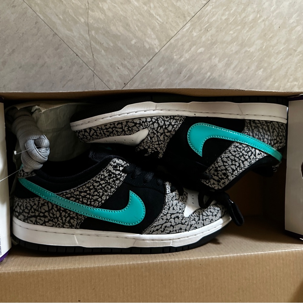 Nike Atmos Dunks